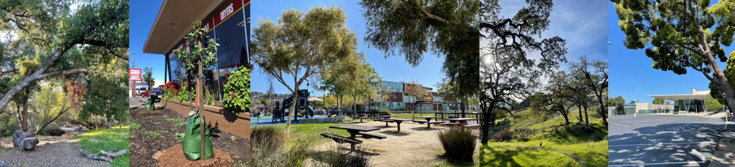 a collection of photos of various treed areas of alameda county